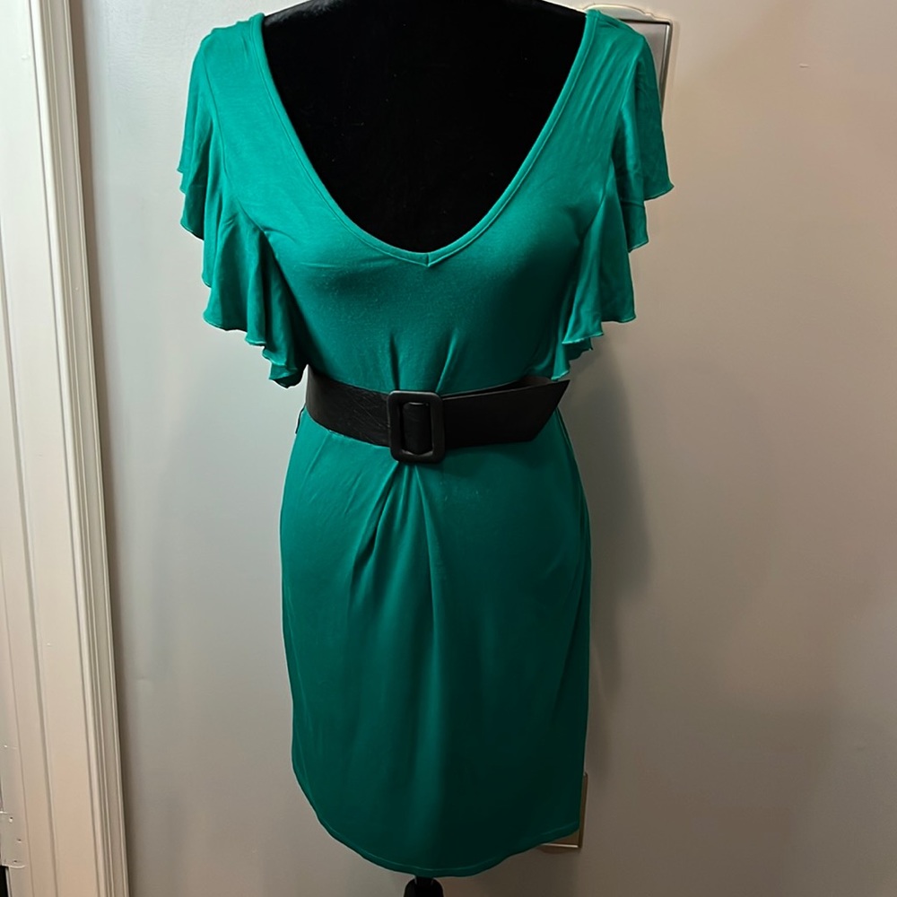 Flutter Sleeve Dress